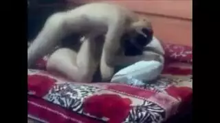 محترفة قانونية تئن خلال اختراق شرجي مكثف