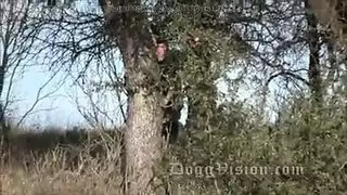 فذف دخل كيس