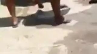 هولندي مسرح سكرتير