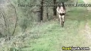 غريب المتعري حدب