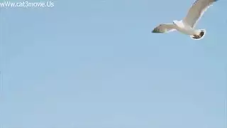 سكس كوري نوم