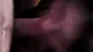 جمل صدر سكس