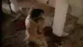 جنس شرجي إكس إكس إكس مع فحل مغربي